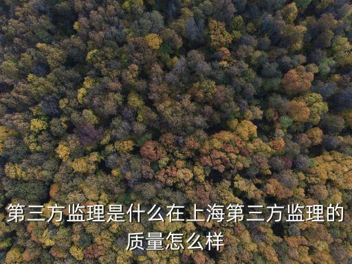 第三方監(jiān)理，第三方監(jiān)理是什么在上海第三方監(jiān)理的質(zhì)量怎么樣