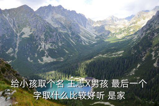 給小孩取個(gè)名 王志X男孩 最后一個(gè)字取什么比較好聽 是家