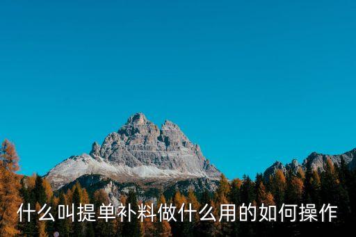 什么叫提單補料做什么用的如何操作