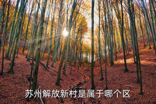 解放新村，蘇州盤胥路里的解放新村屬于哪個區(qū)