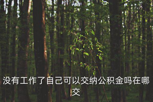 自己交公積金，沒有工作了自己可以交納公積金嗎在哪交