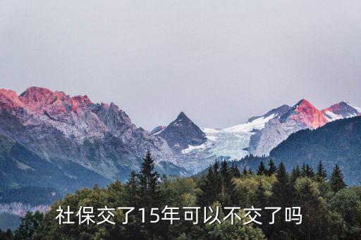 15年社保，為什么叫十五年的社保