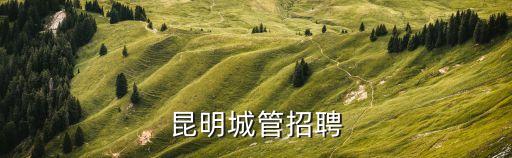 城管，昆明城管招聘