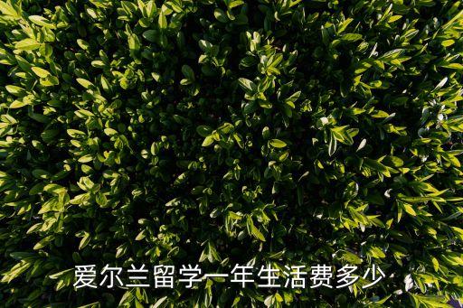 愛(ài)爾蘭留學(xué)一年費(fèi)用是多少，愛(ài)爾蘭留學(xué)一年生活費(fèi)多少