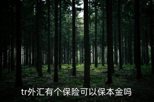 tr外匯有個保險可以保本金嗎