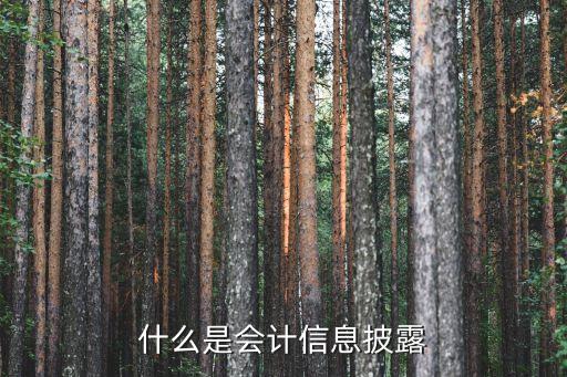 什么是會計信息披露