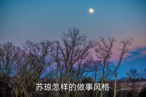 蘇瓊，原文北齊蘇瓊累官清和太守郡多盜賊及瓊至奸盜止息民