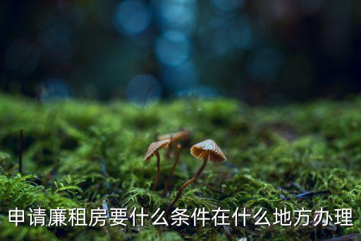 申請(qǐng)廉租房要什么條件在什么地方辦理
