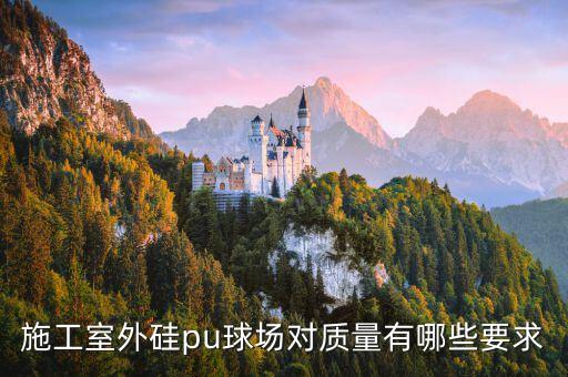 施工室外硅pu球場(chǎng)對(duì)質(zhì)量有哪些要求