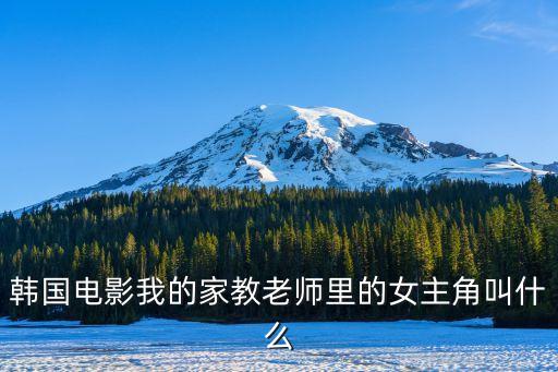 女家教老師，家庭女教師 是干什么的啊