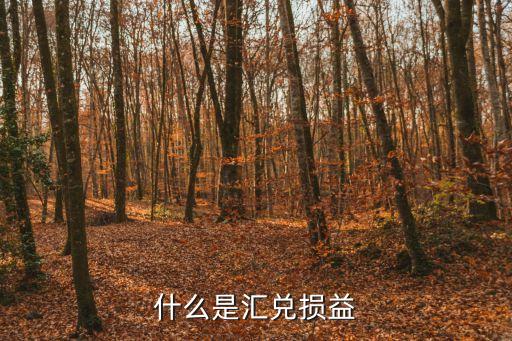 什么是匯兌損益