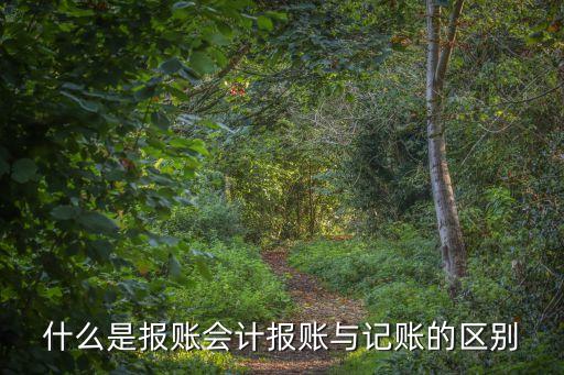 報賬，什么是報賬會計報賬與記賬的區(qū)別