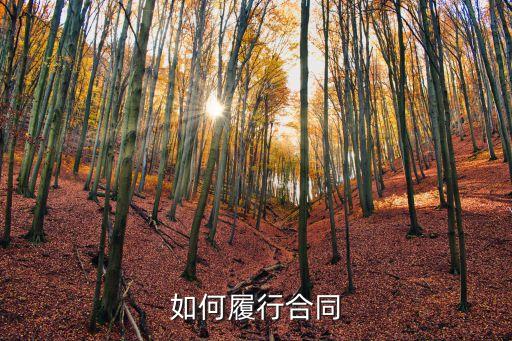 如何履行合同