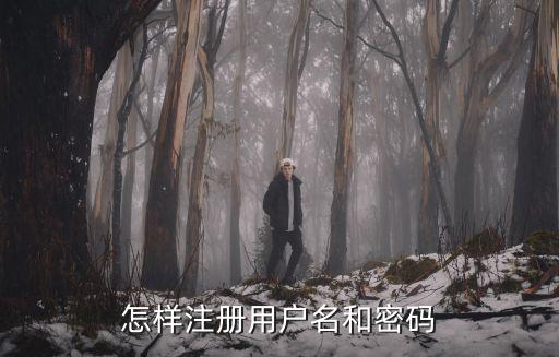 個(gè)人用戶注冊(cè)，如何注冊(cè)用戶名
