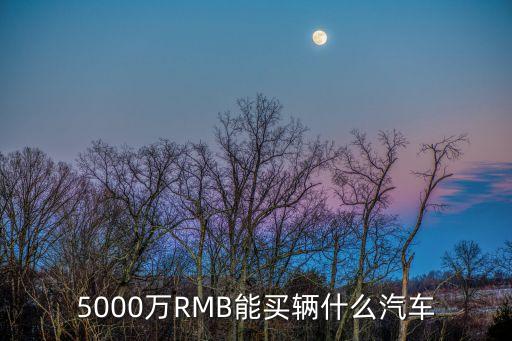 5000萬RMB能買輛什么汽車