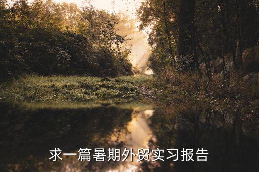 外貿(mào)公司實(shí)習(xí)報(bào)告，求外貿(mào)公司的實(shí)習(xí)周記20篇左右