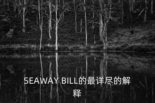 SEAWAY BILL的最詳盡的解釋