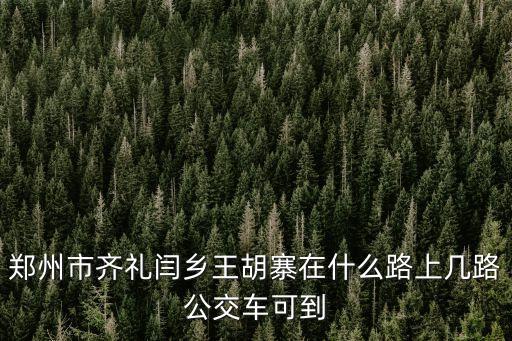 鄭州市齊禮閆鄉(xiāng)王胡寨在什么路上幾路公交車可到