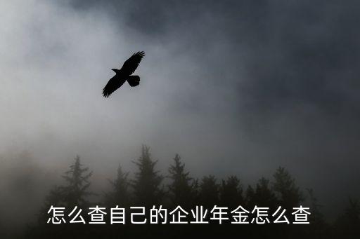 企業(yè)年金怎么查詢，怎么查自己的企業(yè)年金怎么查