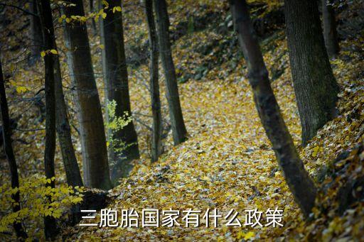 三胎政策，請問三胞胎生育政策