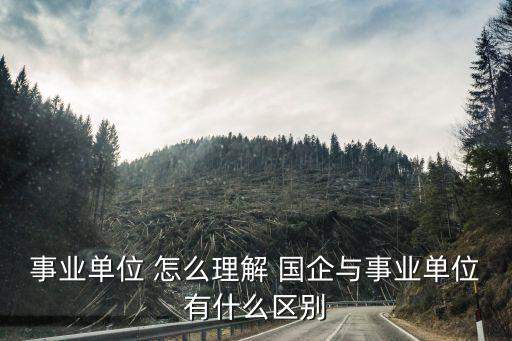 事業(yè)單位是國(guó)企嗎，事業(yè)單位經(jīng)營(yíng)企業(yè)算國(guó)有企業(yè)嗎