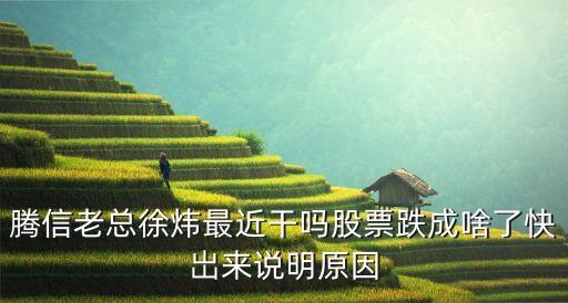 徐煒，徐煒是誰(shuí)