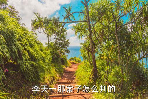 李天一輪奸案，李天一那案子怎么判的