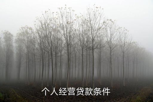 個人經(jīng)營貸款條件