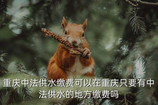 中法供水，重慶中法供水有限公司繳費(fèi)點(diǎn)有哪些我住在新牌坊請(qǐng)附近最近的繳