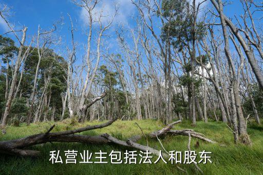 私營企業(yè)主，私營業(yè)主包括法人和股東