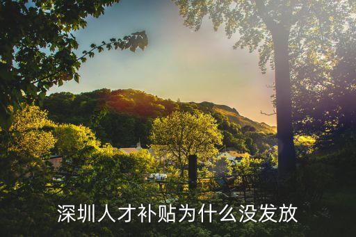 深圳人才引進(jìn)補(bǔ)貼，深圳人才引進(jìn)補(bǔ)貼