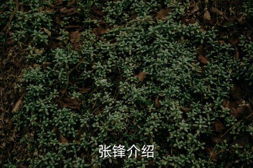 張鋒，張鋒拼音怎么寫(xiě)
