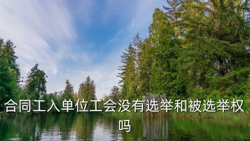 工會選舉，工會基層組織選舉工作暫行條例的目錄