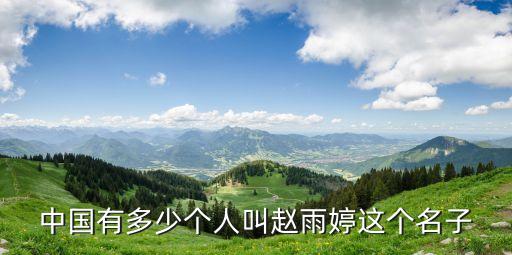 中國(guó)有多少個(gè)人叫趙雨婷這個(gè)名子