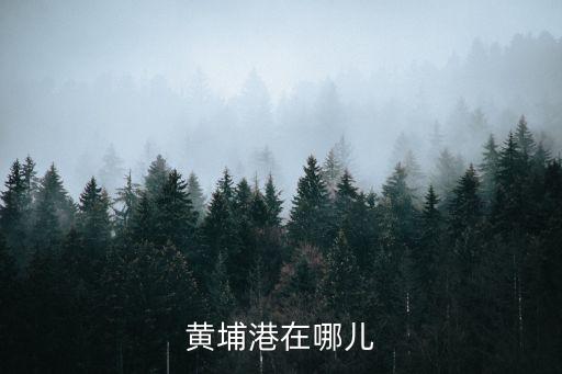 黃埔港在哪兒