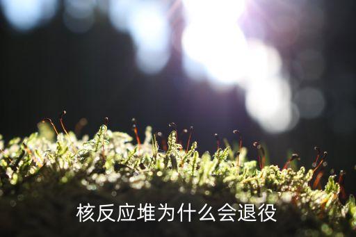 乏燃料后處理，核反應(yīng)堆為什么會退役