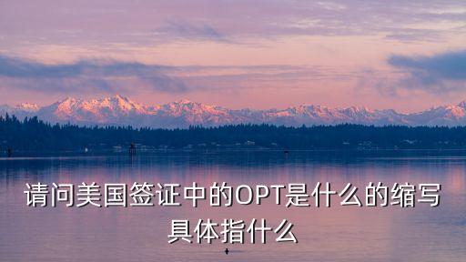 opt簽證，美國h1b工作簽證和OPT都有哪些關(guān)系