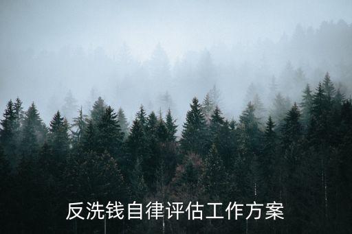反洗錢工作計(jì)劃，請(qǐng)教反洗錢檢查方案