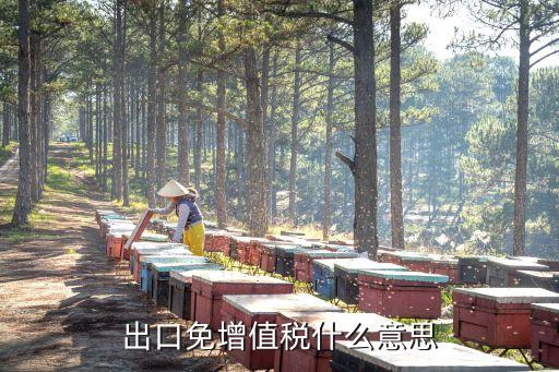 出口免稅，如何理解 出口貨物退免稅政策