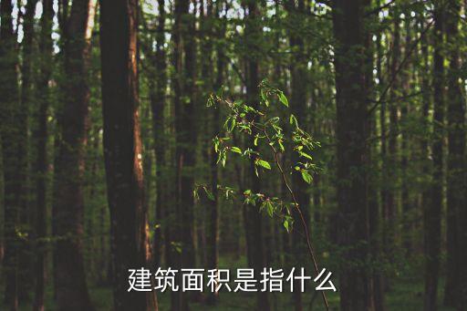 建筑面積是指什么