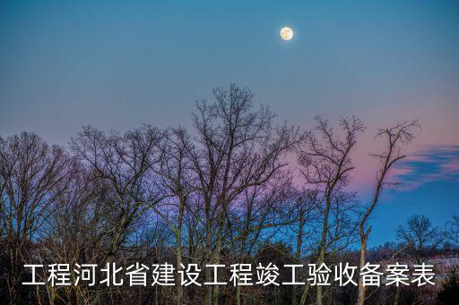 工程河北省建設(shè)工程竣工驗(yàn)收備案表