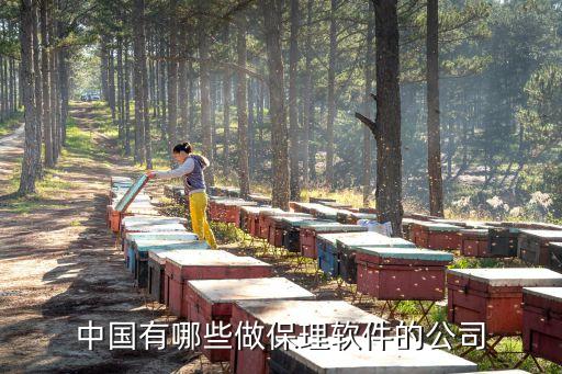 保理公司，中國(guó)有哪些做保理軟件的公司