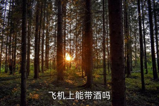 飛機(jī)上能帶酒嗎