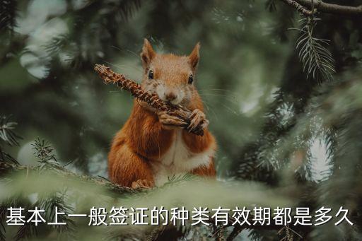基本上一般簽證的種類有效期都是多久