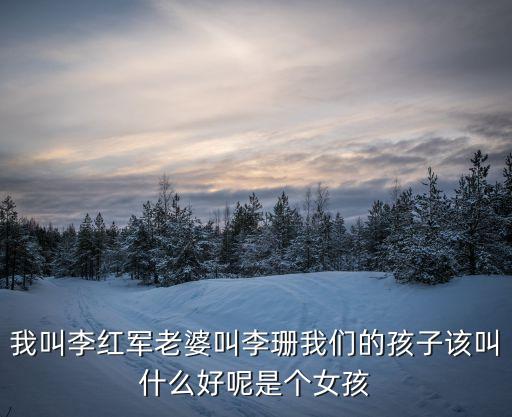 我叫李紅軍老婆叫李珊我們的孩子該叫什么好呢是個(gè)女孩