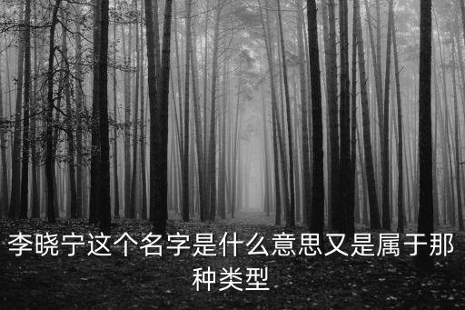 李曉寧這個名字是什么意思又是屬于那種類型