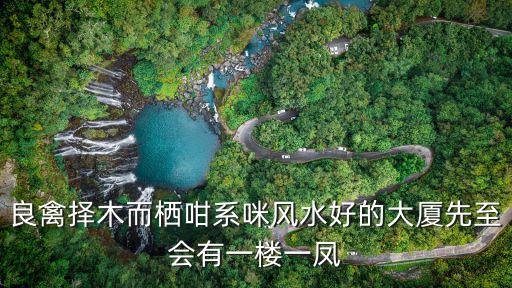 良禽擇木而棲咁系咪風(fēng)水好的大廈先至?xí)幸粯且圾P