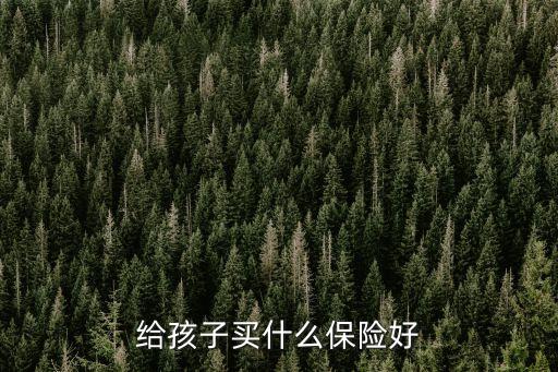 給孩子買什么保險(xiǎn)好