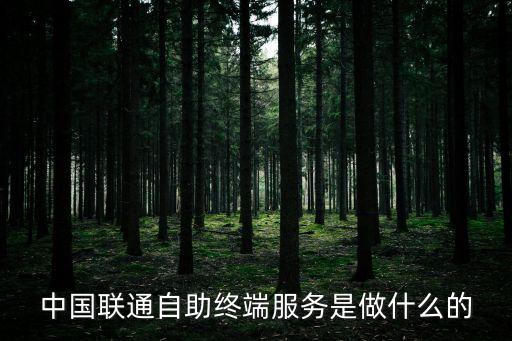 自助服務終端，工商銀行的自助服務終端就是ATM機嗎