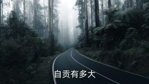 自貢面積，自貢城市面積多大